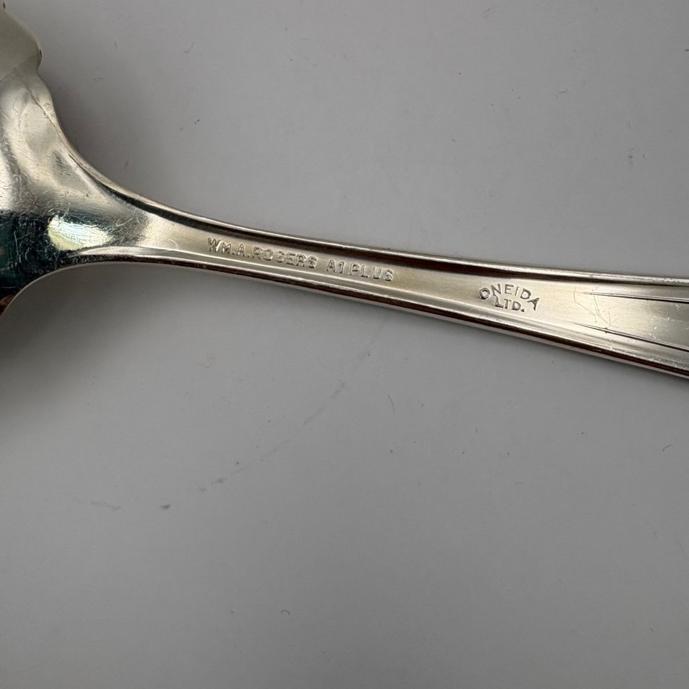 Vintage Oneida Wm Rogers Ramona Lakewood Brentwood Large 9" Serving Spoon - Picture 3 of 3